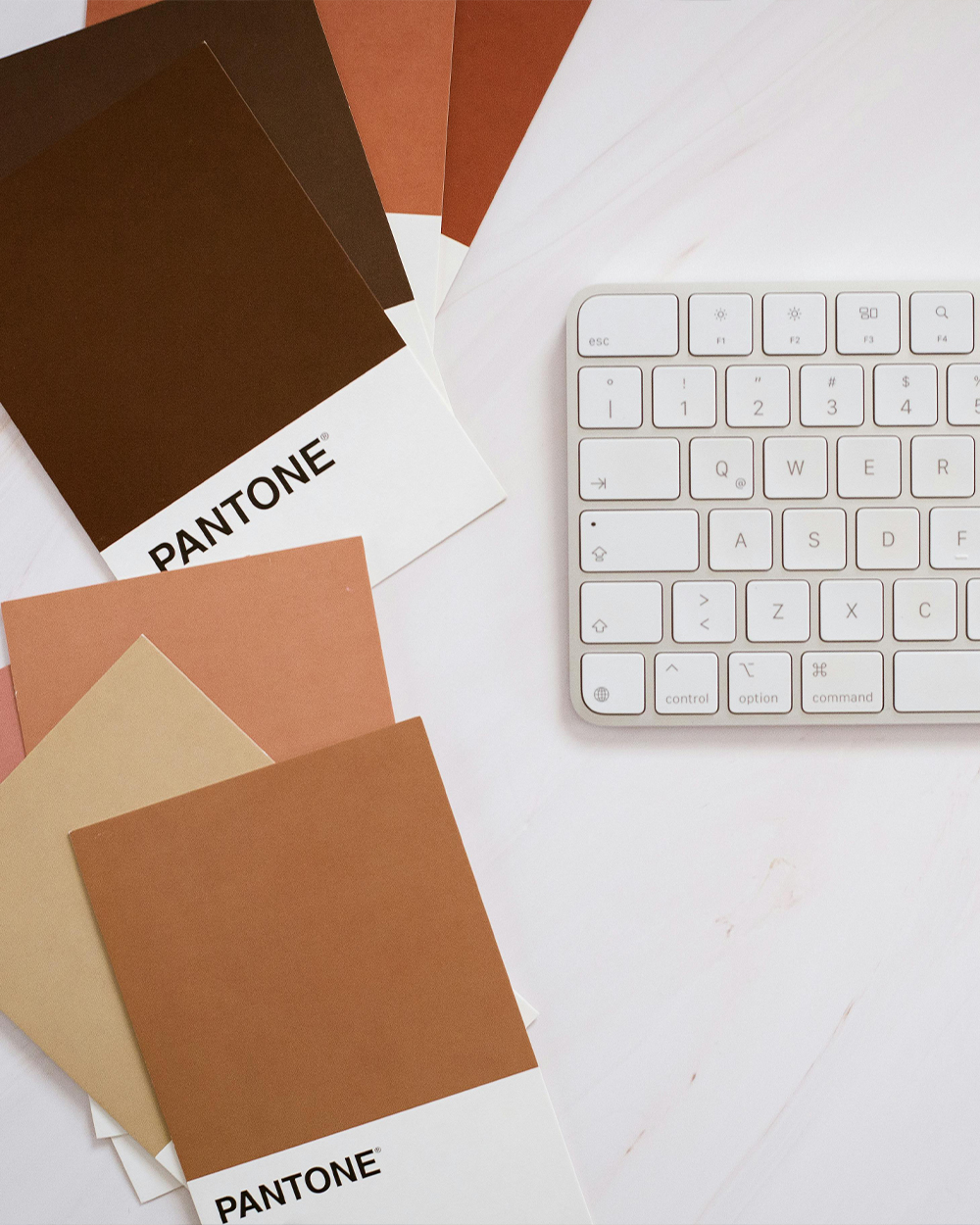 Servicios: Editorial